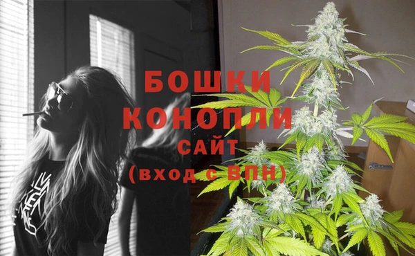 винт Арсеньев